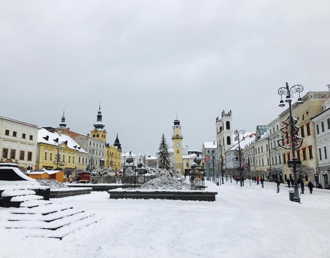 Bl - The Penthouse, 24Hr Self Check-In, 2 Bedrooms, Fireplace, Ac, Panoramic View From Main Balcony, 3-Minute Walk To City Center Банска-Бистрица Экстерьер фото